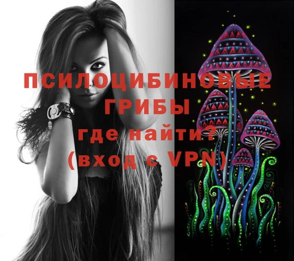 дурь Алексин