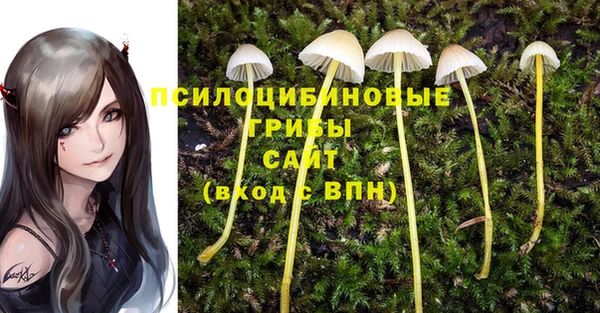прущие грибы Алексеевка