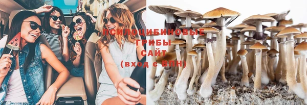 прущие грибы Алексеевка